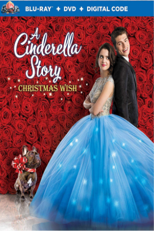 Une aventure de Cendrillon ,Un Souhait de Noël
